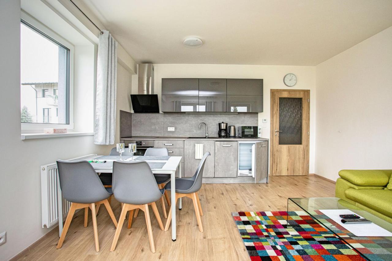Green Apartment Klinovec By Mountain Ways Loucna pod Klinovcem Exterior photo